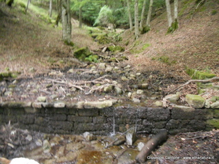 Malabotta Patriarchi